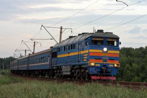 В Астраханской области лошадь стала причиной аварии на железной дороге