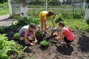 В Астраханской области сельские школьники учатся сажать огурцы