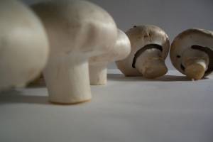 150 кг польских  грибов раздавили на полигоне