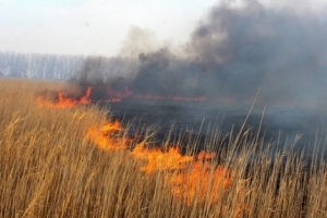 По северу Астраханской области ожидается чрезвычайная пожарная опасность 5-го класса