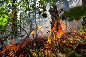 В Астраханской области сохраняется высокая пожароопасность