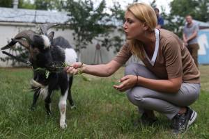 Приморский козел Тимур справит день рождения в Москве