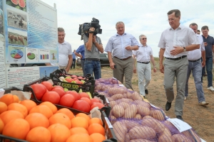 Астраханские земледельцы реализовали свыше 100 тысяч тонн овощей и картофеля