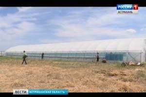 Астраханцы развивают новое сельскохозяйственное направление