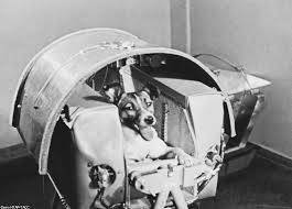 Сегодня исполнилось 65 лет со дня запуска собак в космос с полигона &#171;Капустин яр&#187;
