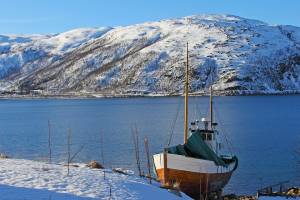 Сайт, продающий рыбу из Норвегии, заблокирован