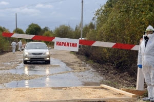 В Астраханской области объявлен карантин по бешенству