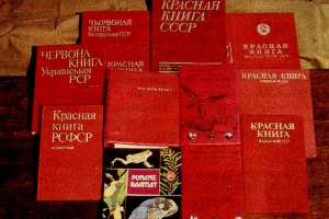 Под Астраханью задержали браконьера, который занимался ловом рыбы, занесенной в Красную книгу