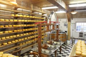 В Астрахани проектируют сырный завод