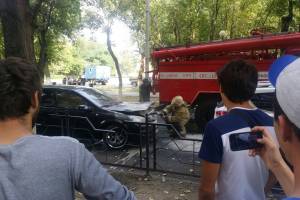 На улице Савушкина загорелся автомобиль