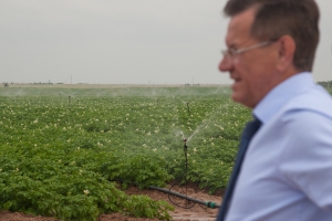 Медведев поручил рассмотреть вопрос о снижении тарифов на орошение астраханских сельхозземель