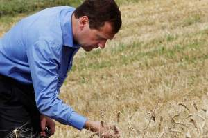 Дмитрий Медведев дал поручение рассмотреть вопрос о снижении тарифов на орошение сельхозземель в Астраханской области