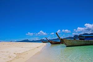 В Таиланде из-за ядовитых физалий закрывают пляжи