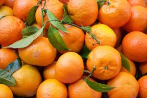 В России зафиксирован дефицит апельсинов