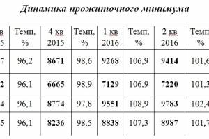 Прожиточный минимум в Астраханской области составил 8 826 рублей