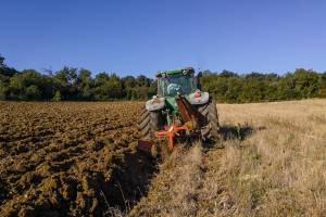 В Астраханской области произведут сельхозпродукции на 40 млрд. рублей