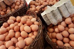 В Астрахани станет больше яиц