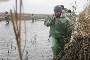 Астраханцы разводят рыбу в рисовых чеках