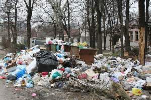 Вопросом мусора занялись в региональном правительстве