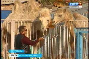 Астраханский эколого-биологический Центр отметил 70-летний юбилей