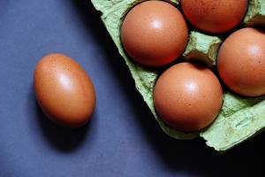 Как сэкономить на покупке кур и яиц в Астрахани