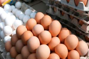 Цена на яйца в Астрахани выросла приблизительно на 10 %