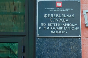 Астраханские портовики просят ввести круглосуточный режим выдачи фитосанитарных сертификатов