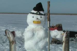 Мороз и высокое давление в Астраханской области испортили клев