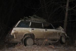 В Астраханской области легковушка врезалась в дерево. Двое пострадавших