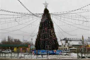 Хит-парад новогодних елок Астрахани