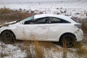 В Астраханской области из-за лошади перевернулся автомобиль