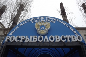 Должностные лица Волго-Каспийского территориального Росрыболовства пошли под суд