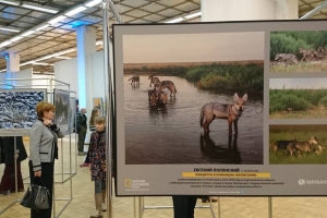 Работа астраханского фотографа стала первой в конкурсе от National Geographic Россия
