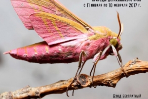 В «Цейхгаузе» открывается фотовыставка, посвящённая природе Астраханской области