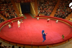 Особенные дети Астрахани впервые увидели магию цирковой арены