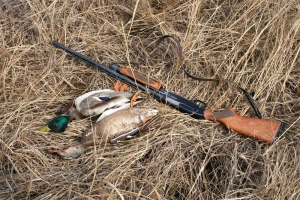Астраханских охотников просят отчитаться по отстрелянной в 2016 году дичи