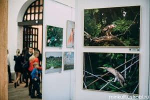 В кремле открылась фотовыставка природы Астраханского края