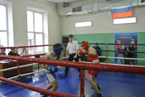 На ринге первенства Астраханской области  по боксу встретились около 70 спортсменов