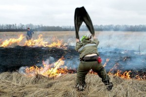 В Астраханской области пожароопасный сезон начнётся с приходом весны