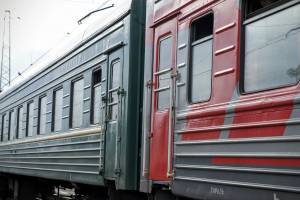В поезде «Москва-Астрахань» перевозили крупную партию наркотиков