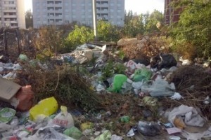 Отвечать за мусор в Астраханской области будет регоператор из Волгограда
