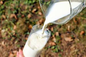 Производители предупредили о возможном росте цен на молоко