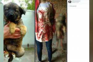 Фигурантки скандального дела о пытках над животными признали свою вину