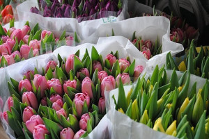 В Астрахани утвердили список адресов для продажи цветов к 8 Марта