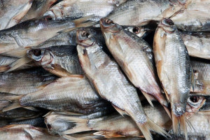 В Астраханскую область пытали ввезти 100 кг вяленой рыбы без документов
