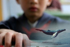 Скандально известная игра «Синий кит» добралась до Астрахани
