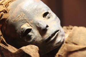 В Астрахани 26 февраля – последний день работы петербургской выставки «Египетские мумии»