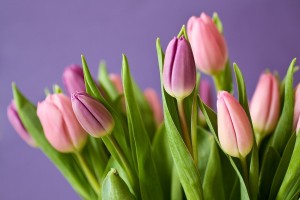 Где купить цветы на 8 марта в Астрахани?