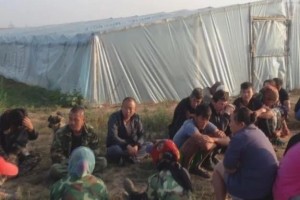 В одном из тепличных хозяйств Астраханской области задержаны нелегальные мигранты