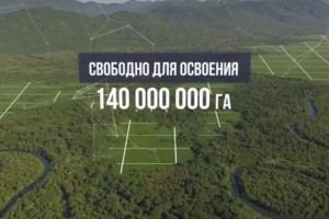 Жители Астраханской области подали 35 заявок по программе «Дальневосточный гектар»